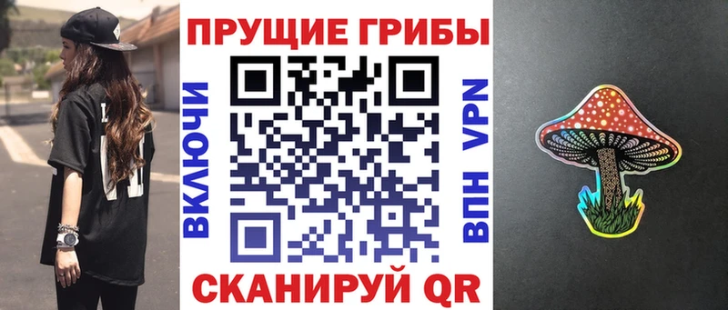цена наркотик  Заводоуковск  Галлюциногенные грибы MAGIC MUSHROOMS 